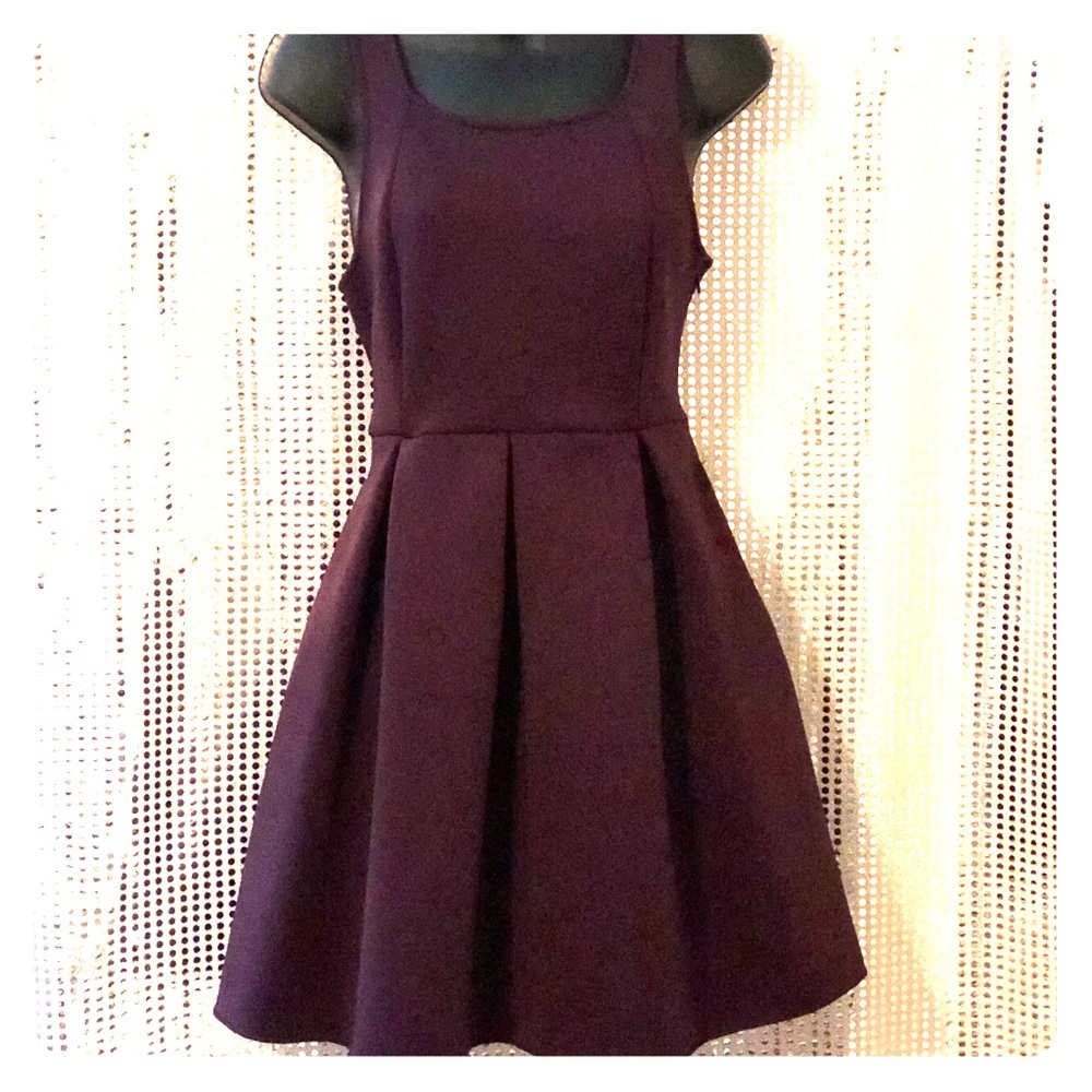 #Express Fit and Flare Plum Dress